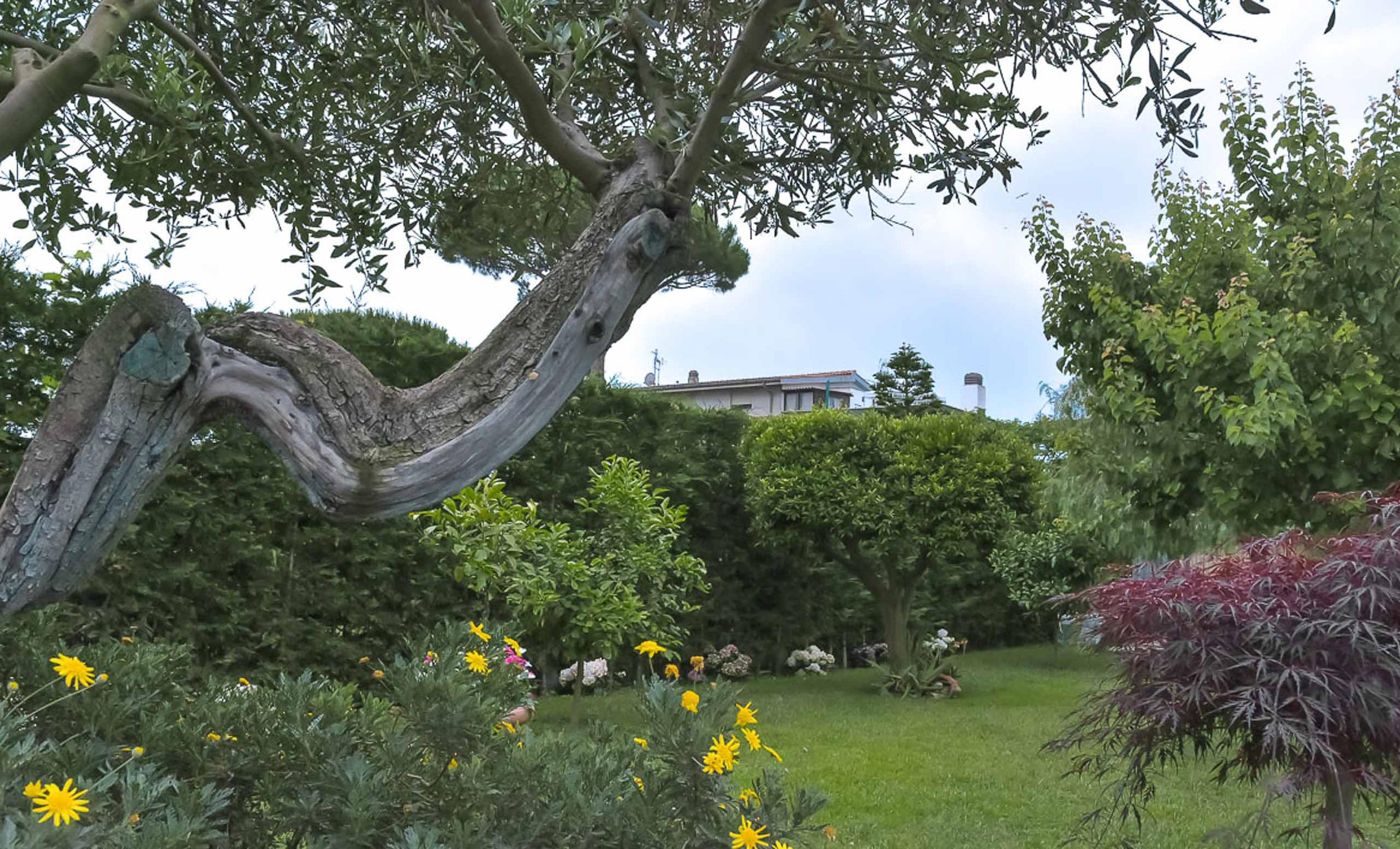 A Casa di Titty Bed and Breakfast Fiumicino Esterno foto